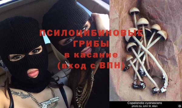 крисы Арсеньев