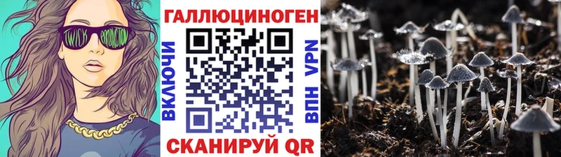 Псилоцибиновые грибы прущие грибы  Купить  Печоры 